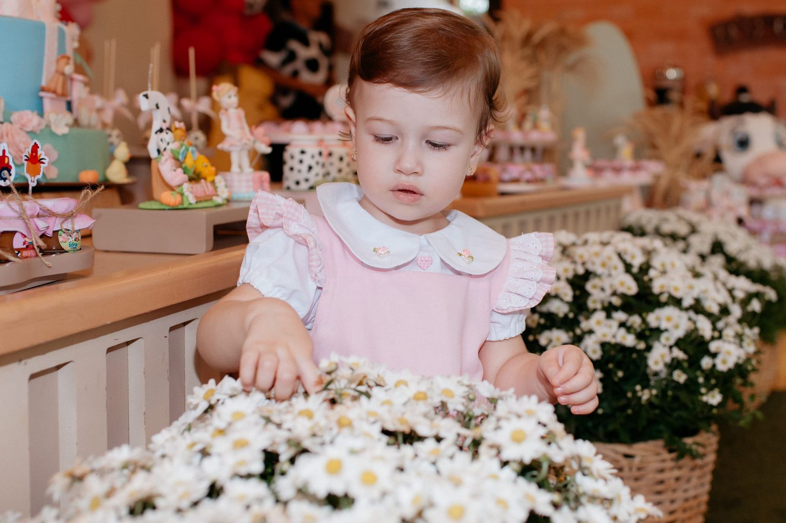 Fazendinha Rosa Perto